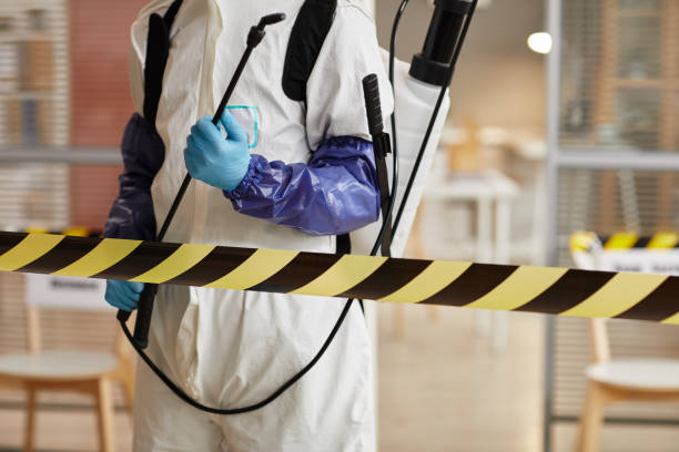 Professional Sewage Cleanup technician working in Brentwood, MO